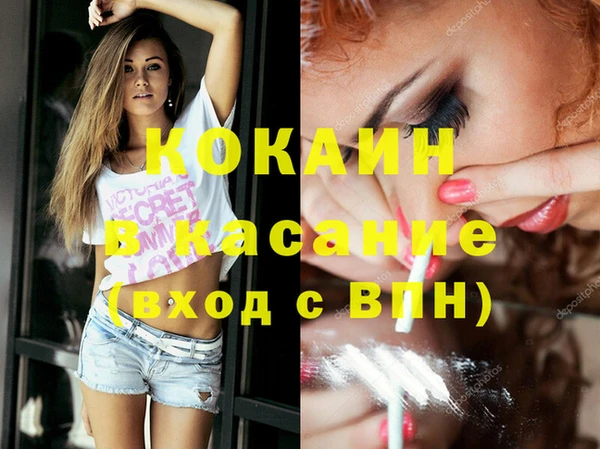 индика Михайловка
