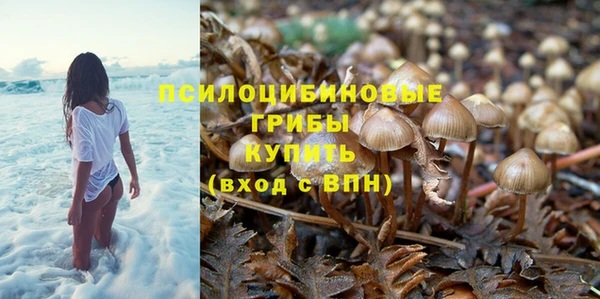 СК Навашино